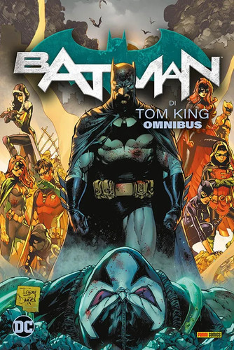 Batman tom king vol - di, 2